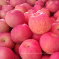 Chinese Shandong Fresh Red Juicy Fuji Apple